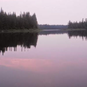 Meet your Posher, Pénélope